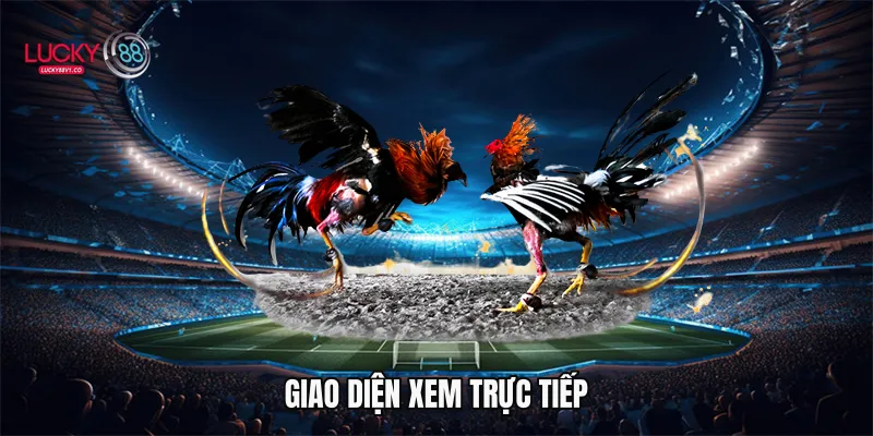 Giao diện xem trực tiếp