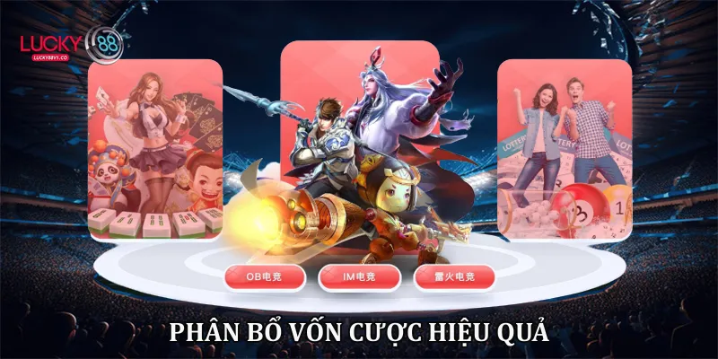 Phân bổ vốn cược hiệu quả