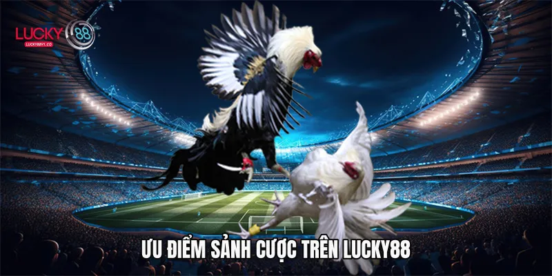 Ưu điểm sảnh cược trên Lucky88